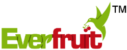Everfruit