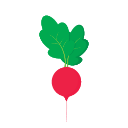 Intello FlowStar | Multi-FnV Weighing Packing and Labelling System