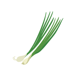 Spring Onion (1)