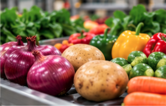 Onions, potatoes and vegetables on a sorting line