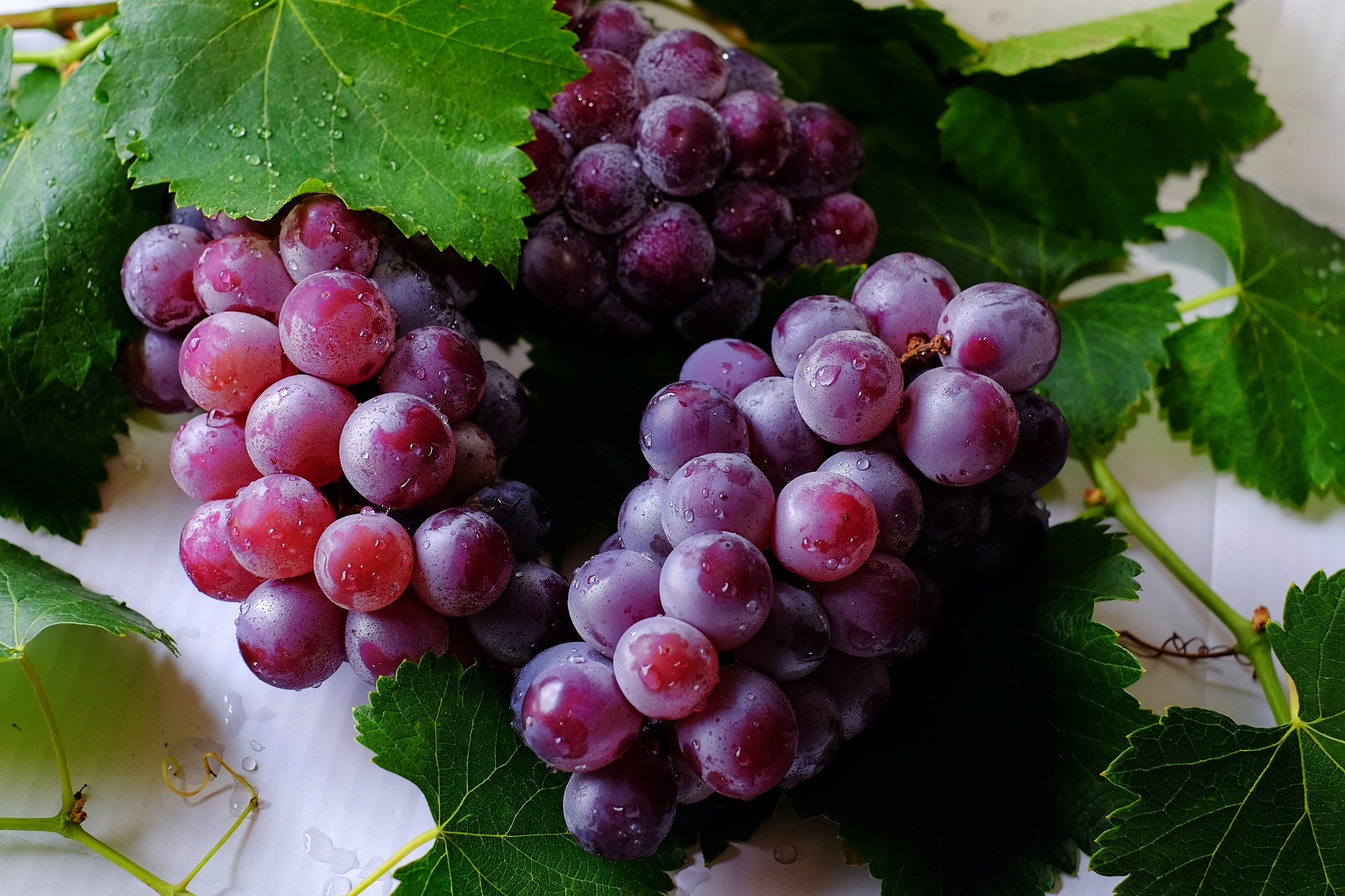 quality of grapes