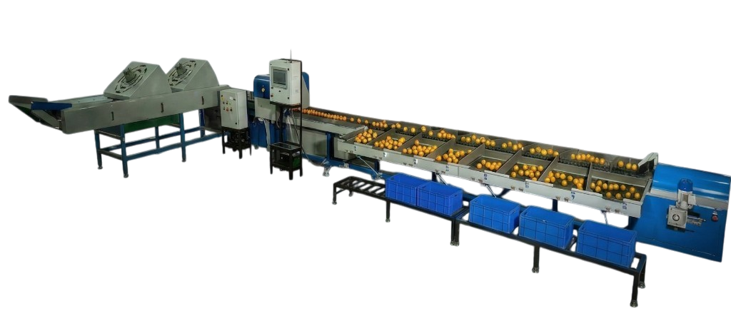 Sorting and Grading machine